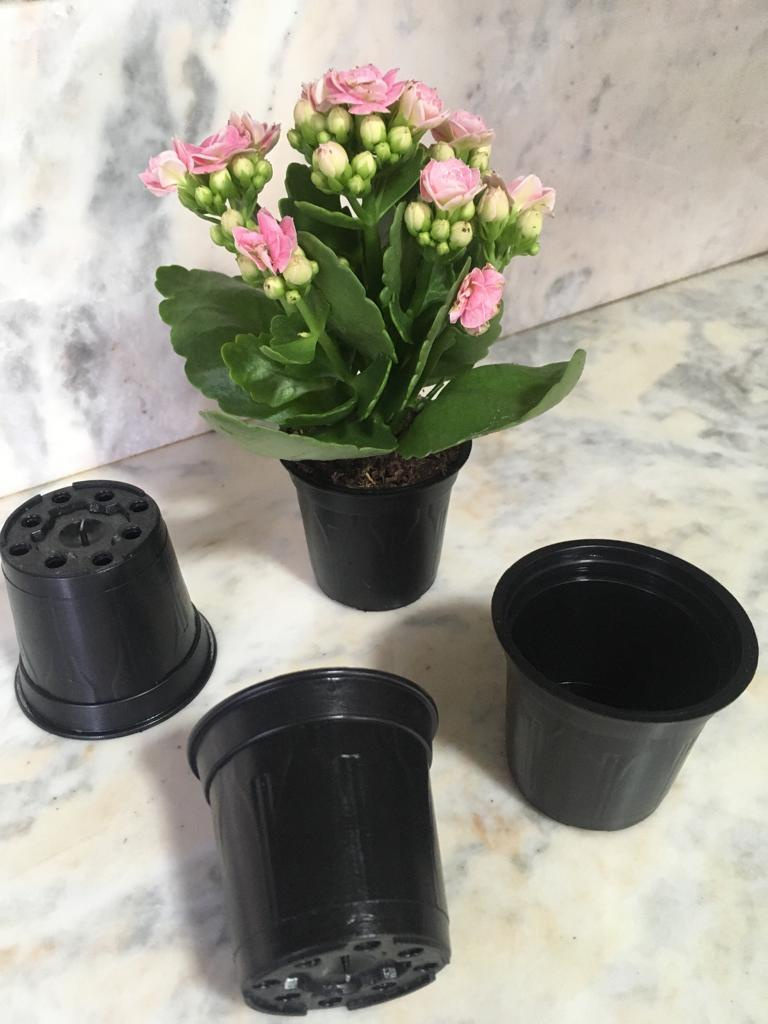 Kit de 20 Vasos Plásticos N6 Flexíveis Tipo Holambra com Relevos Clássicos e Cor Preta