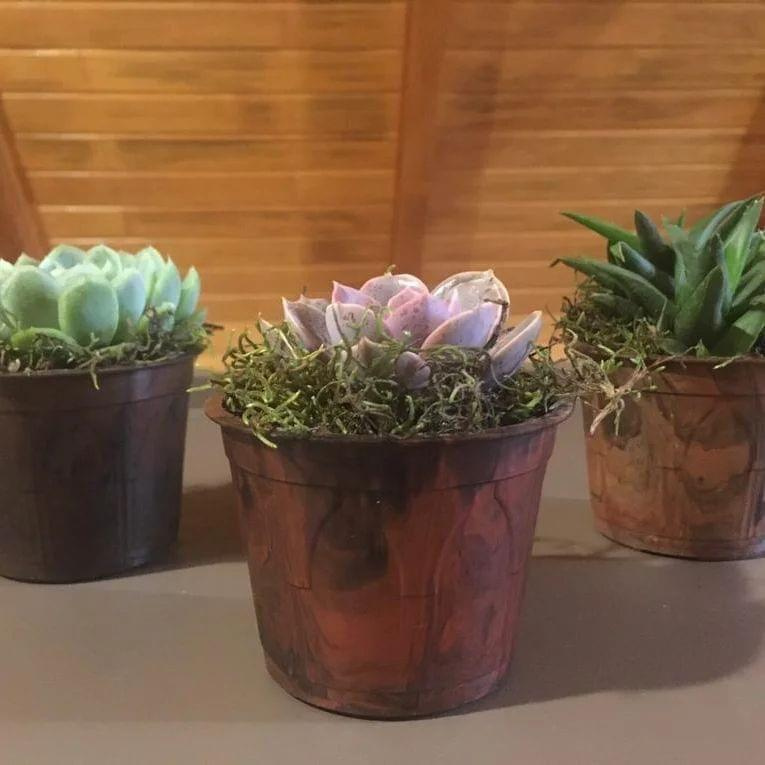 Kit de 20 peças de vasos plásticos N11 tipo Holambra com cores amadeiradas